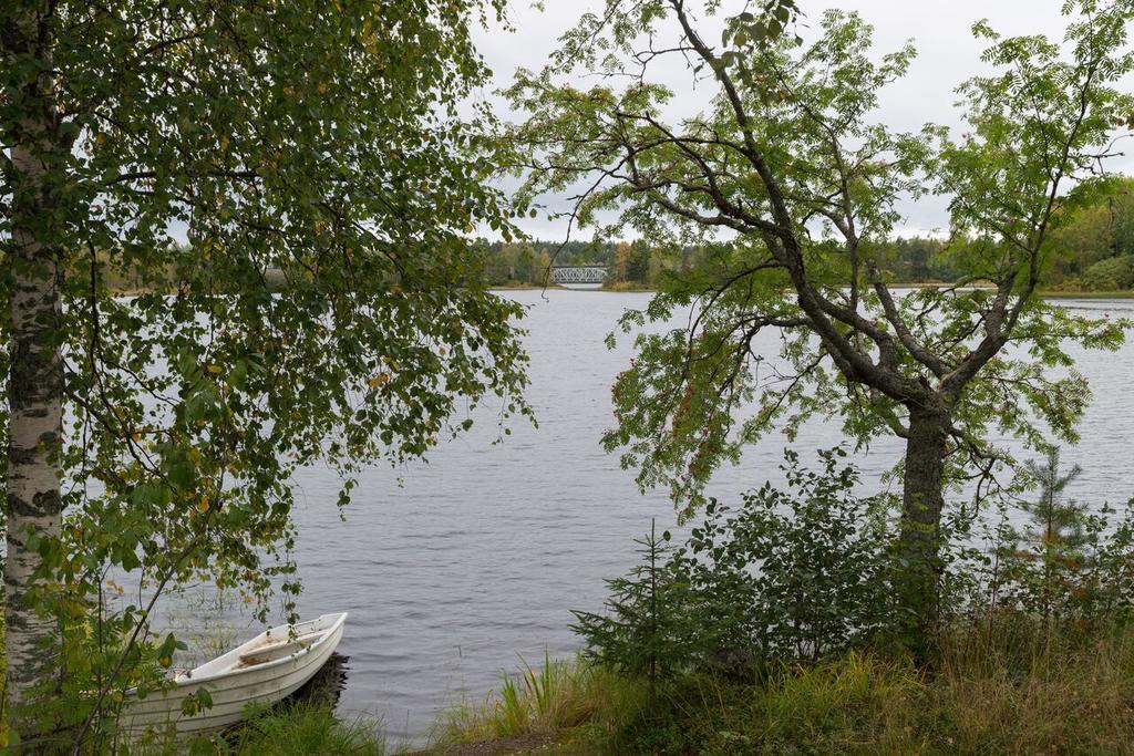 Lemettilae Countryside Accommodation Petajavesi Luaran gambar